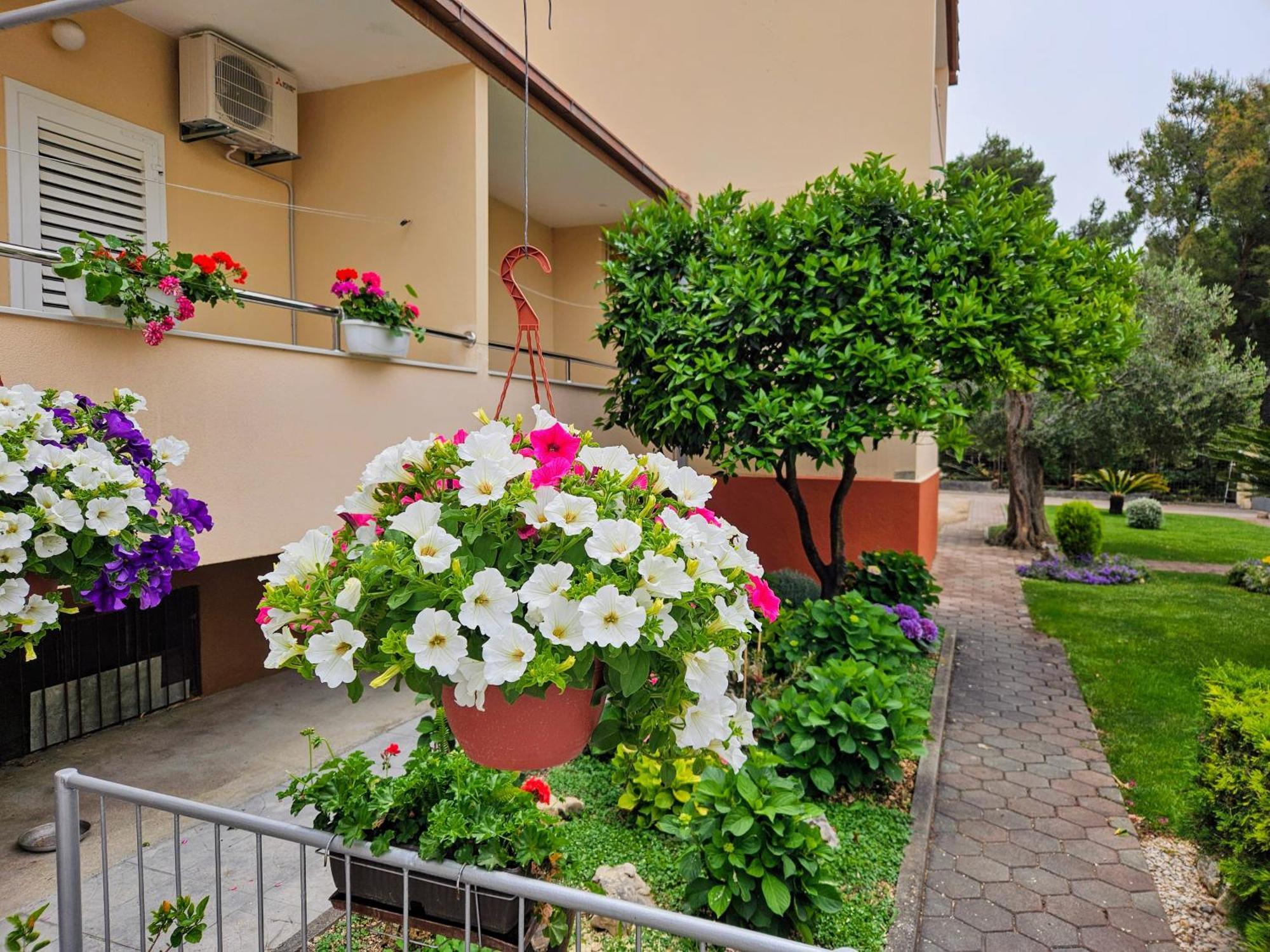 Guest House Antonia Baška Voda Exteriör bild